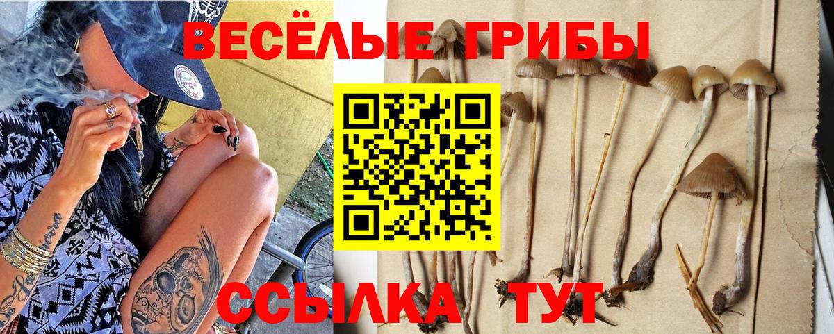 Псилоцибиновые грибы MAGIC MUSHROOMS Брянск